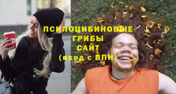 шишки Магадан