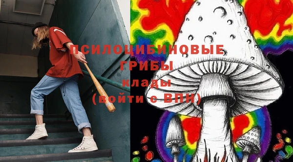 шишки Магадан