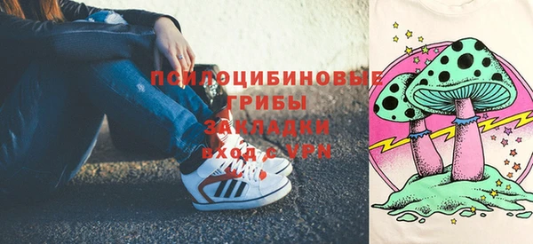 шишки Магадан