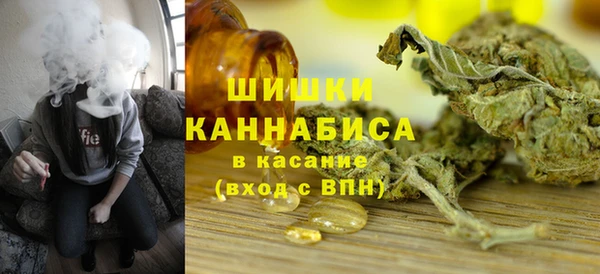 шишки Магадан