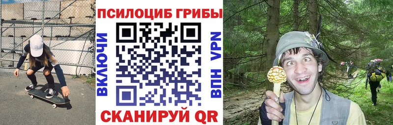Галлюциногенные грибы GOLDEN TEACHER даркнет сайт Иноземцево